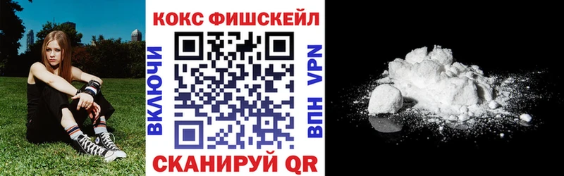 kraken как зайти  Питкяранта  Cocaine FishScale 