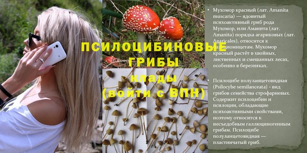 гашишное масло Балабаново