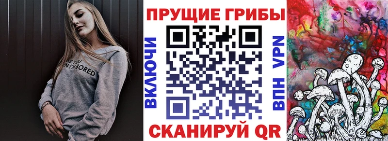 Псилоцибиновые грибы Magic Shrooms  где купить наркотик  blacksprut ТОР  Питкяранта 