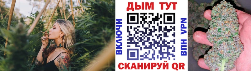 это Telegram  Питкяранта  Каннабис семена  где купить наркоту 